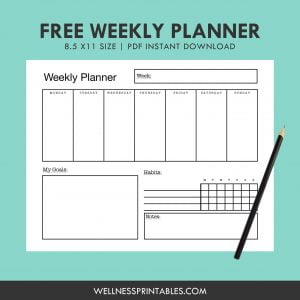 Free Weekly Planner Insert