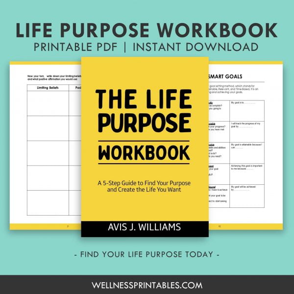 The Life Purpose Workbook A 5Step Guide to Find Your Life Purpose