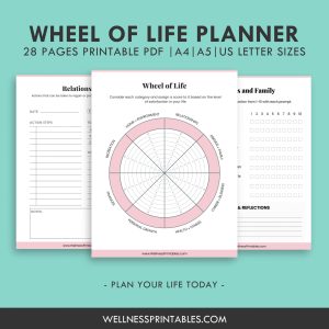 wheel of life planner